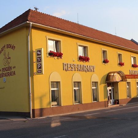Penzion Zlaty Dukat Zvolenská Slatina Exterior photo